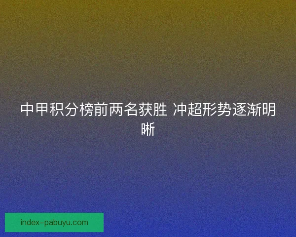 中甲积分榜前两名获胜 冲超形势逐渐明晰